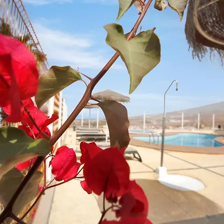 Luxury Penthouse, Sunset, Heated Pool, Fast Wifi 아파트 아데제